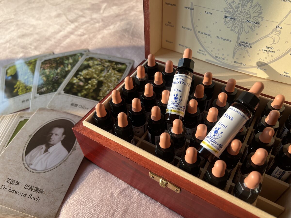 Online Bach Flower Remedies consultation 45-60mins (EXCLUDING the flower essence)